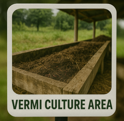 Vermi Culture